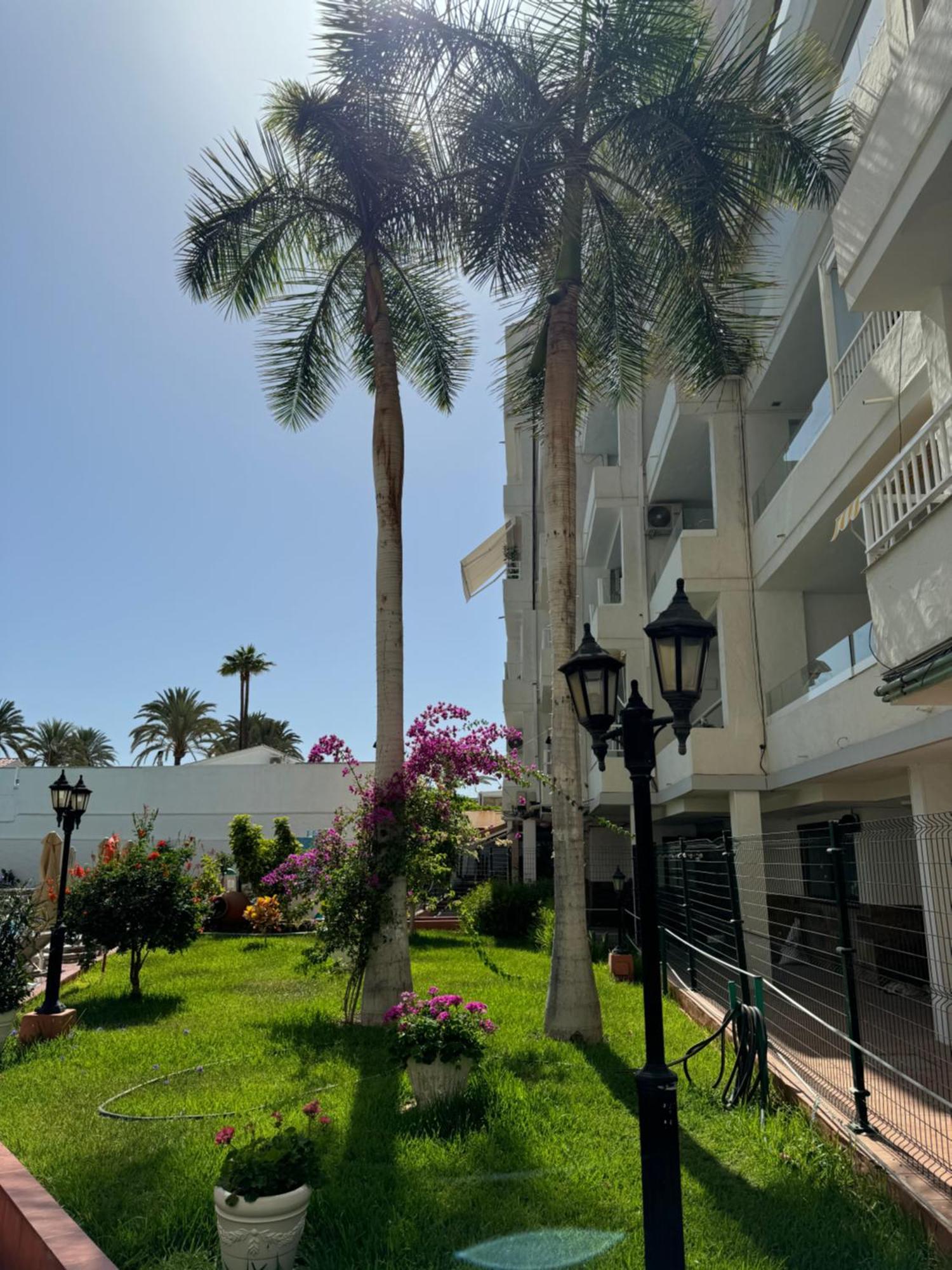 Apartamento Reformado En Apartamentos Tanife, Playa Del Ingles San Bartolomé 外观 照片