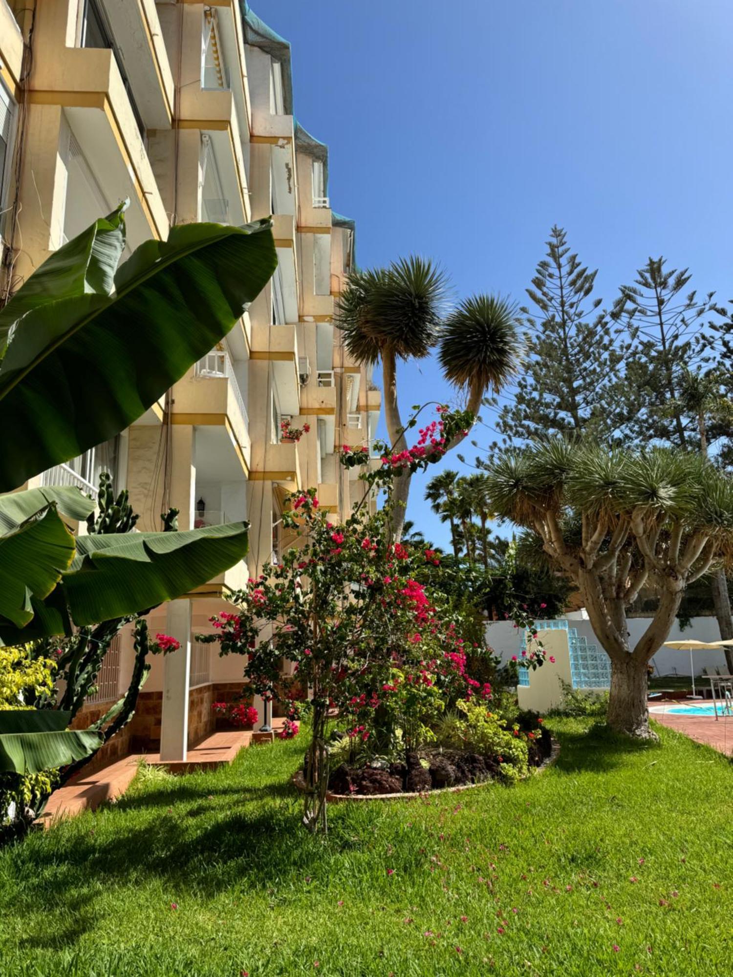 Apartamento Reformado En Apartamentos Tanife, Playa Del Ingles San Bartolomé 外观 照片